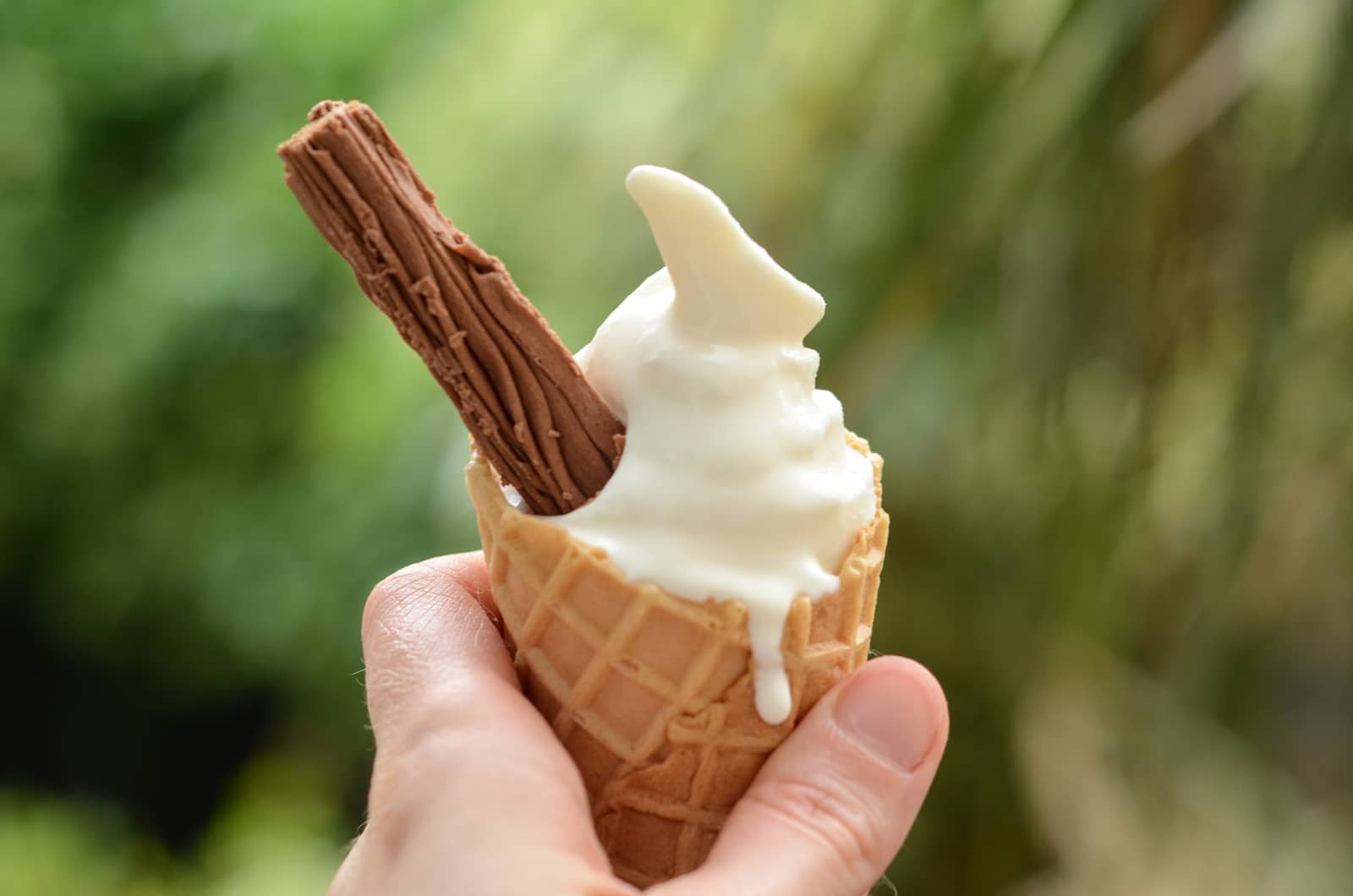 99 Ice Cream Glace Vanille Et Chocolat Friable Un Classique Anglais Recette Authentique